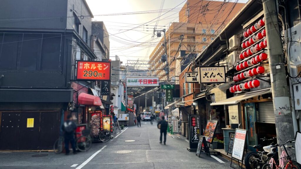 Osaka Minami Daigeki Street South