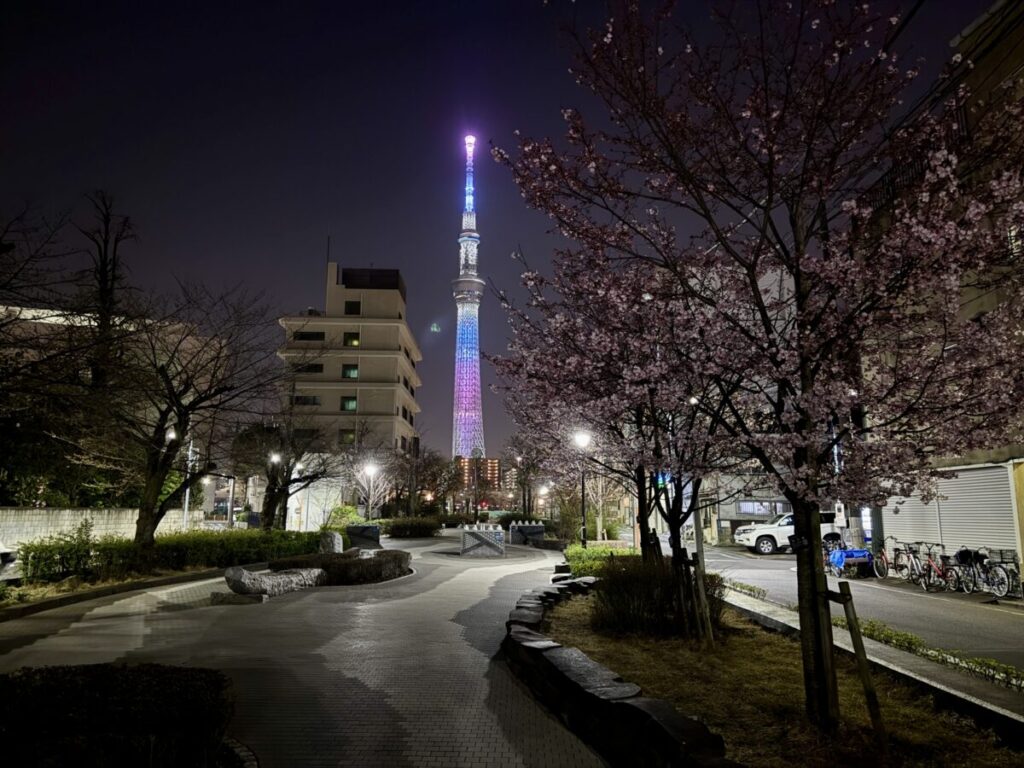 Sanyabori Park at Night